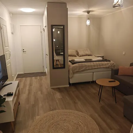 Kaupunkikoti Omalla Saunalla Sekae Laehellae Juna-asemaa, 100m Wifi * Järvenpää