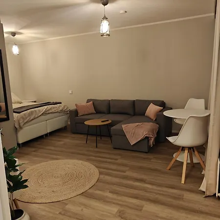 Kaupunkikoti Omalla Saunalla Sekae Laehellae Juna-asemaa, 100m Wifi Appartement