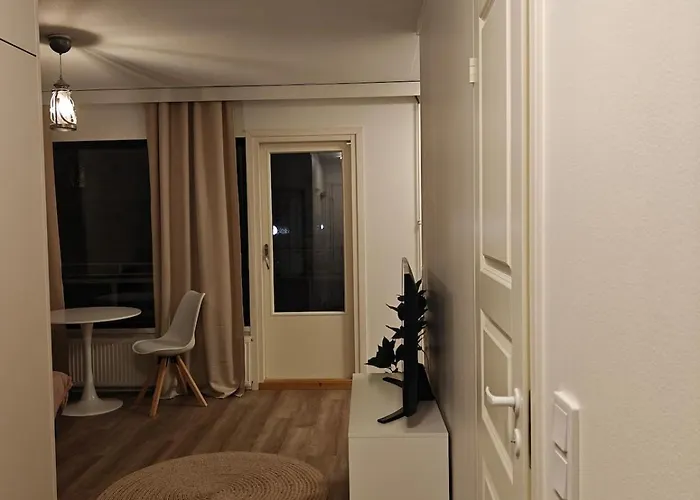 Kaupunkikoti Omalla Saunalla Sekae Laehellae Juna-asemaa, 100m Wifi Appartement *