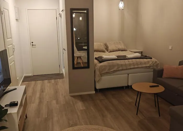 Kaupunkikoti Omalla Saunalla Sekae Laehellae Juna-asemaa, 100m Wifi * Järvenpää