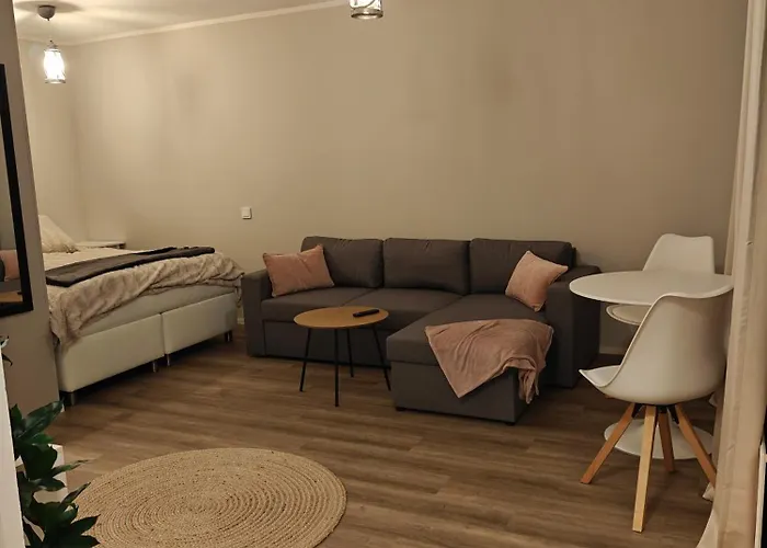 Kaupunkikoti Omalla Saunalla Sekae Laehellae Juna-asemaa, 100m Wifi Apartman